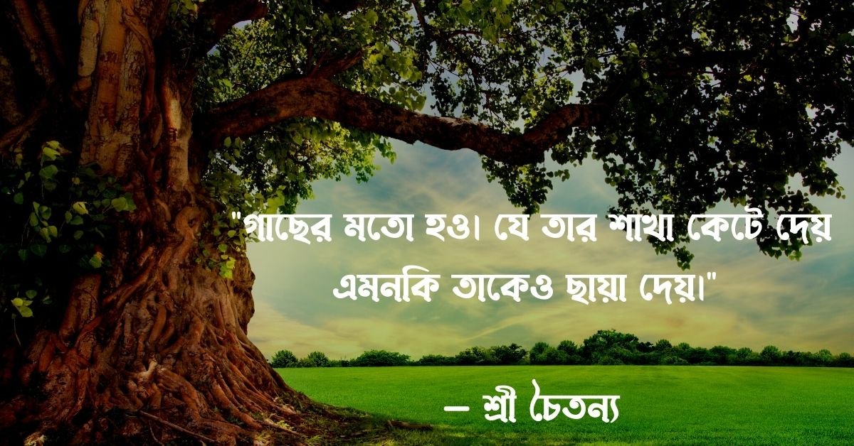 সবুজ গাছ নিয়ে উক্তি